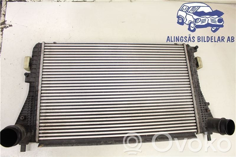Volkswagen PASSAT B7 Interkūlerio radiatorius 