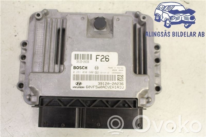 Injection control unit/module   0281030600,391202A236