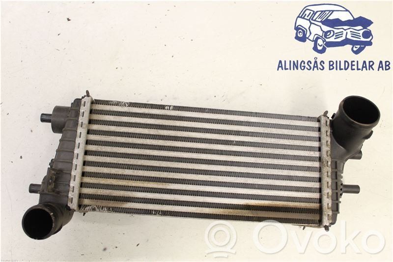 Ladeluftkühler   BV619L440CE