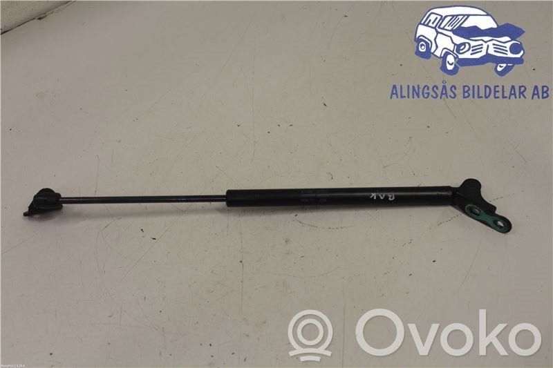 Tailgate strut   817802P000