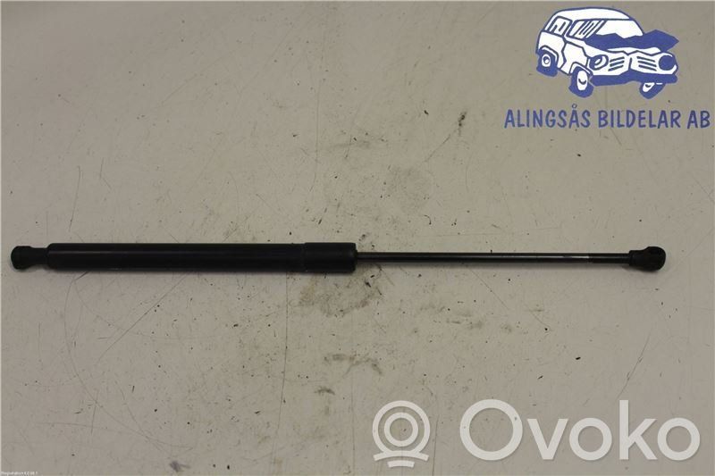 Tailgate strut   8731T9
