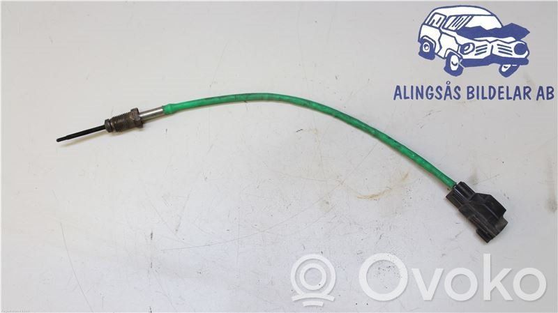 Ford Fiesta Išmetamųjų dujų temperatūros daviklis 