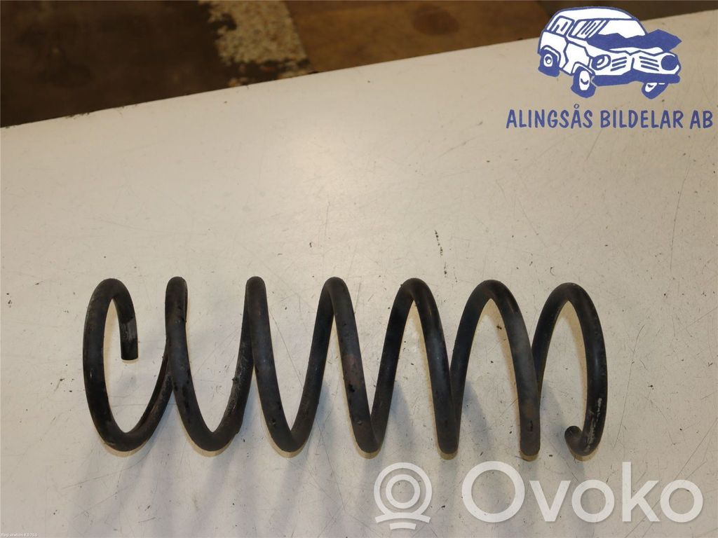Muelle espiral trasero