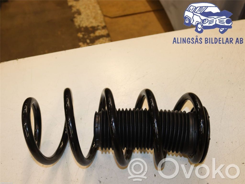Front coil spring   2195194,FK315310BA