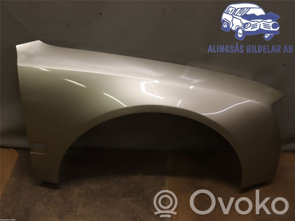 Fender   4E0821106K