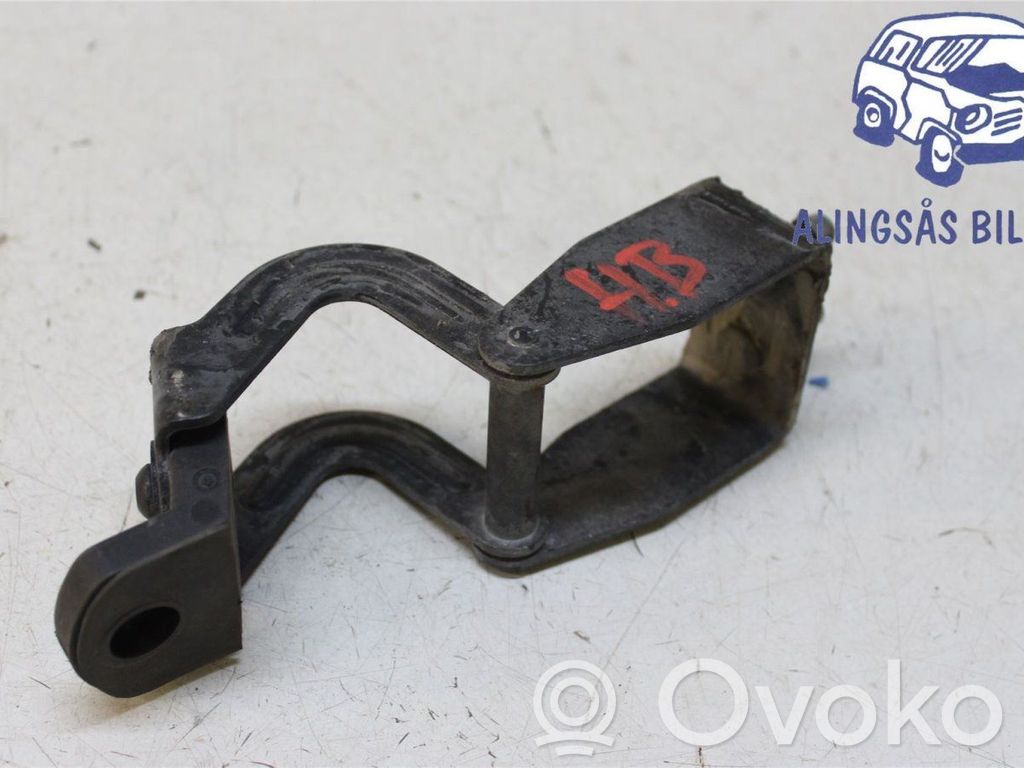 Tailgate/trunk/boot hinge