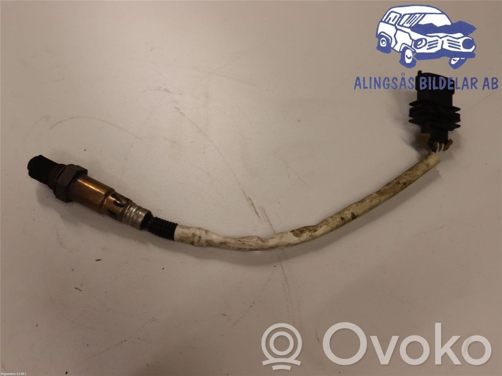 Lambda probe sensor   55568668,0258010119,55568668