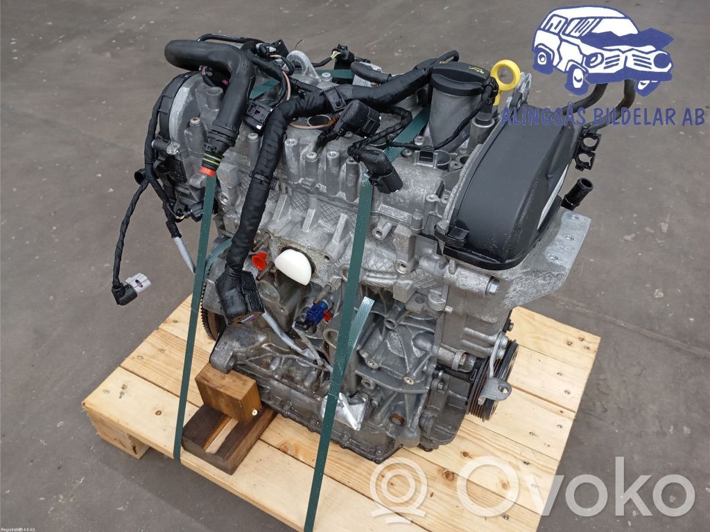 Engine   04E100033R