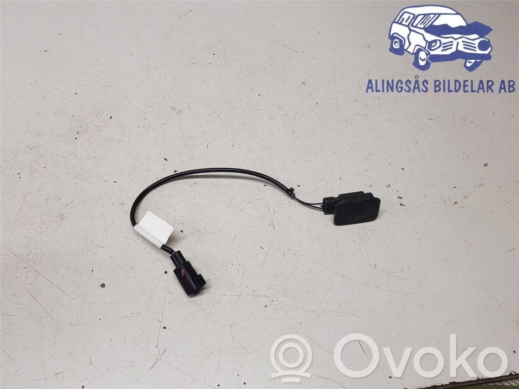 Fiat Freemont Tailgate/boot open switch button 