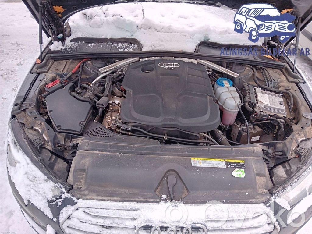 Audi A4 S4 B9 Variklis 