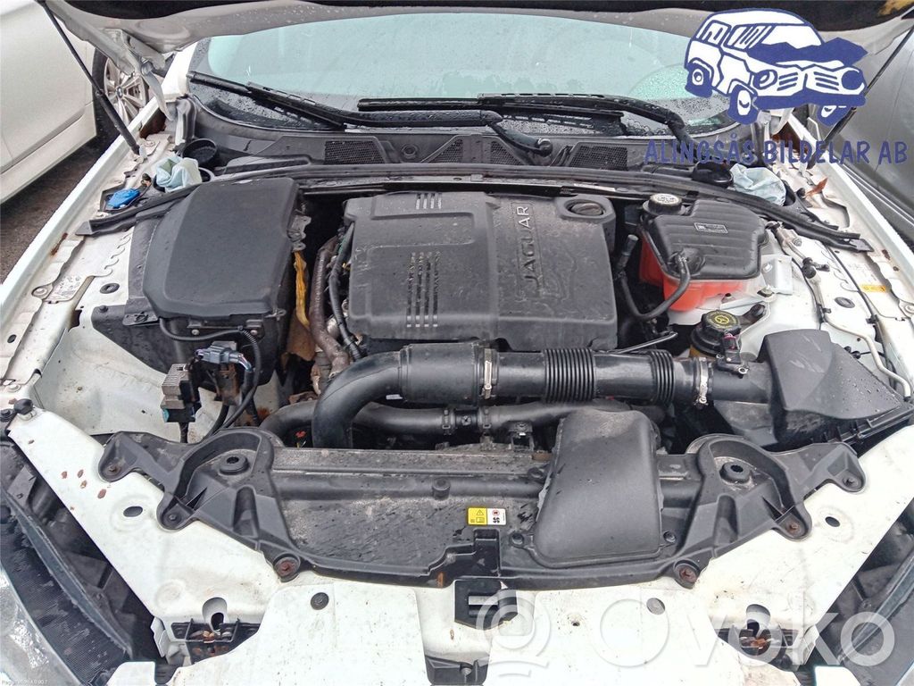 Engine   C2Z20549