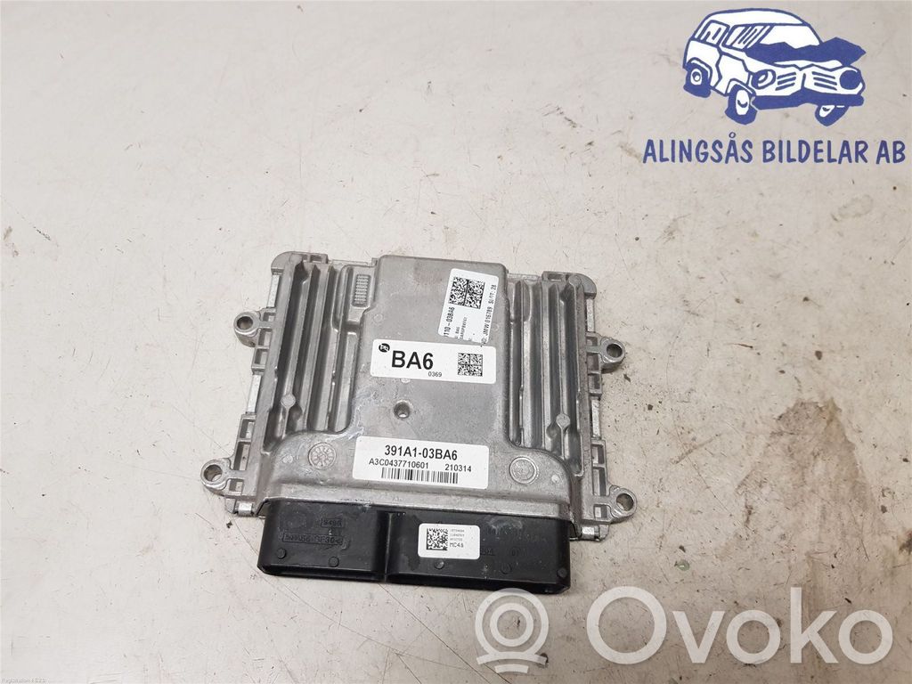 Injection control unit/module   391A103BA6,391A103BA6,391A103BA6