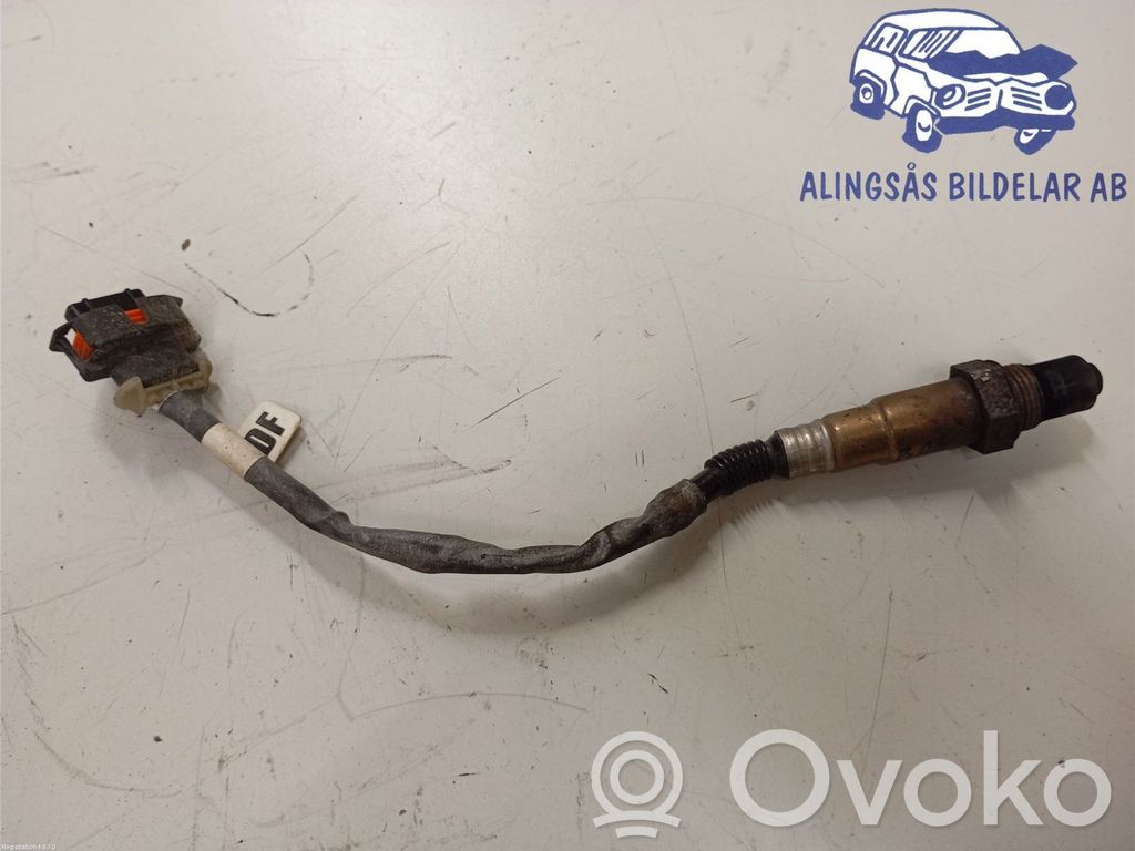 Lambda probe sensor   55562206