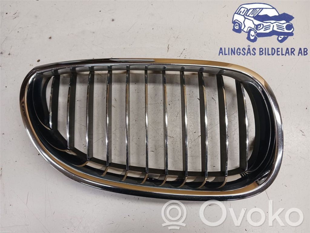 Front bumper lower grill   51137065702