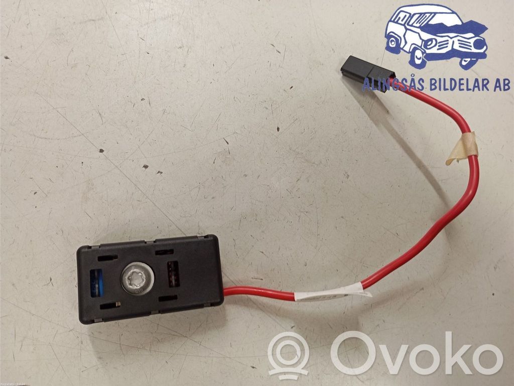 Tesla Model Y Radion antenni 