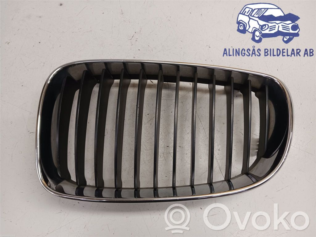 Front bumper lower grill   51137166439