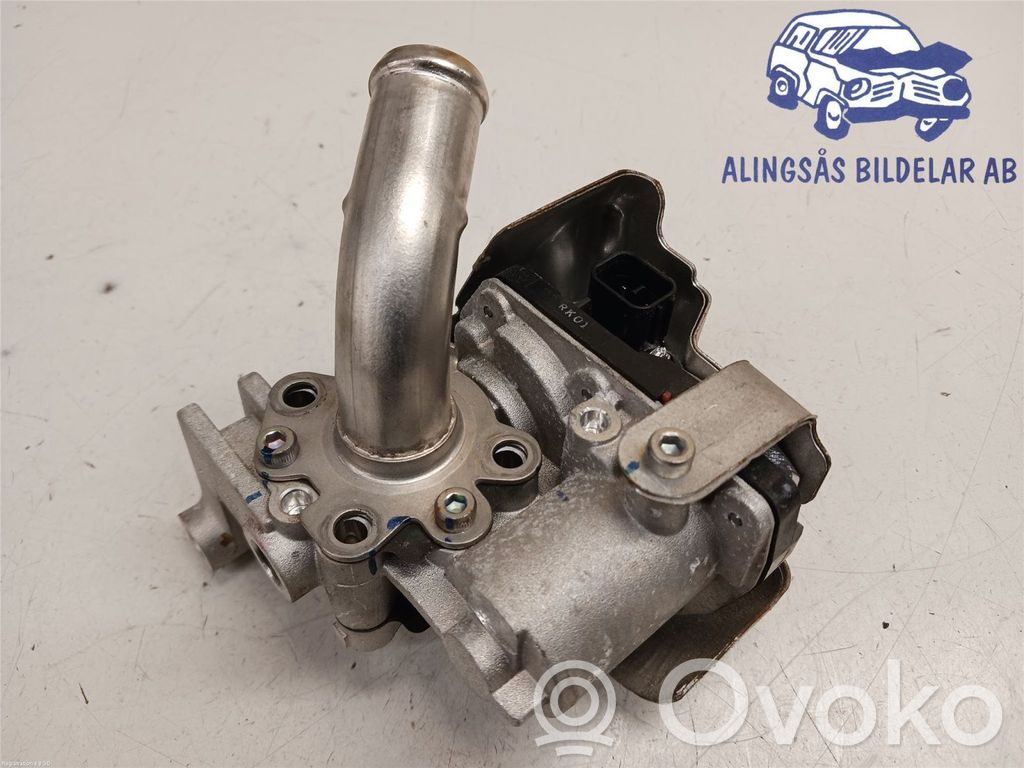Hyundai Kona I Válvula EGR 