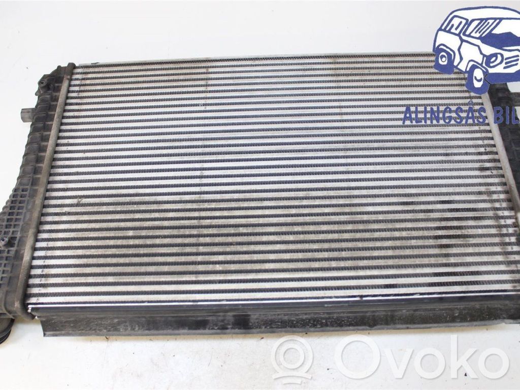Volkswagen PASSAT B7 Interkūlerio radiatorius 