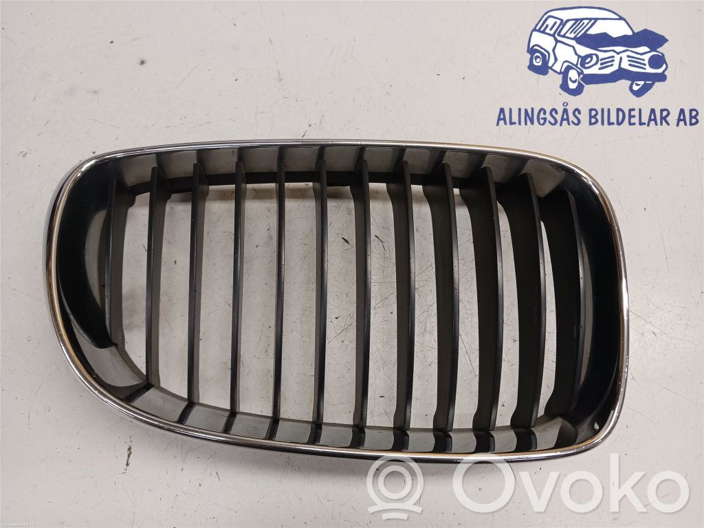 BMW 1 E81 E87 Mascherina inferiore del paraurti anteriore 