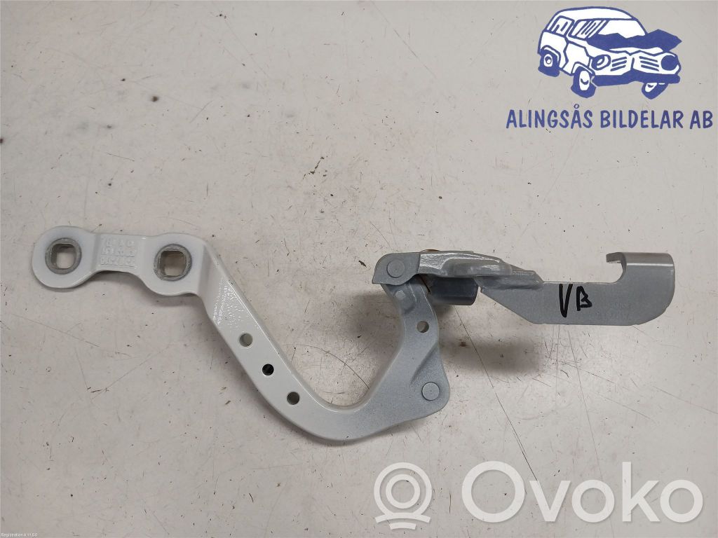 Tailgate/trunk/boot hinge   41007494943,7397315,7397315