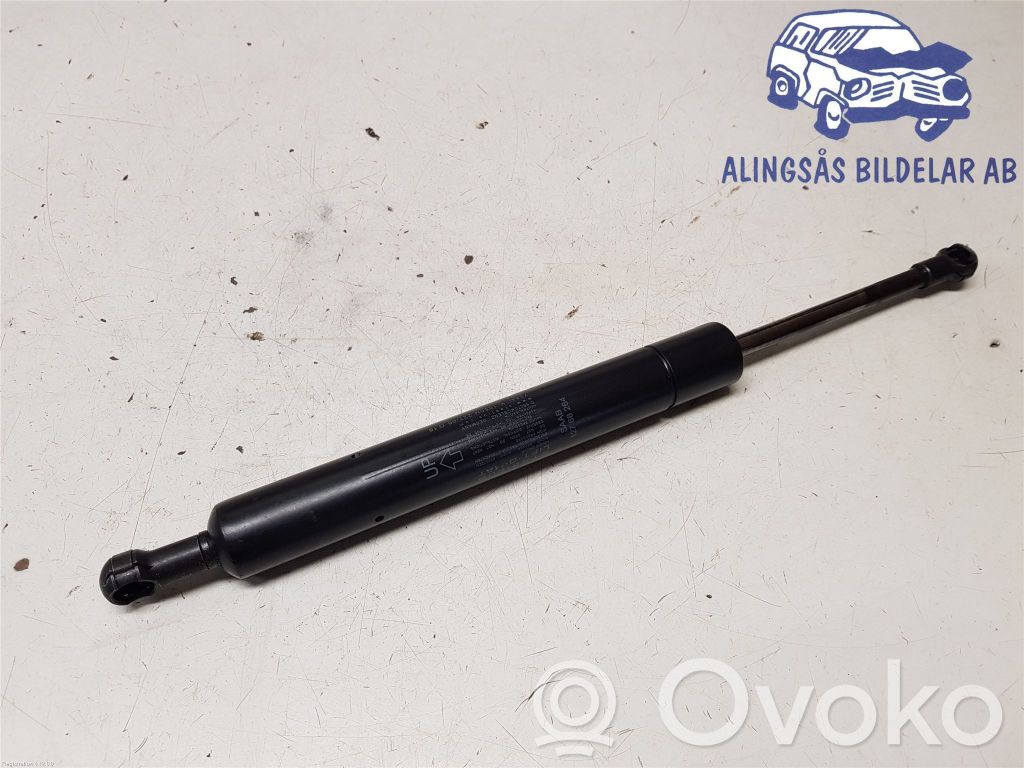 Heckklappenstrebe