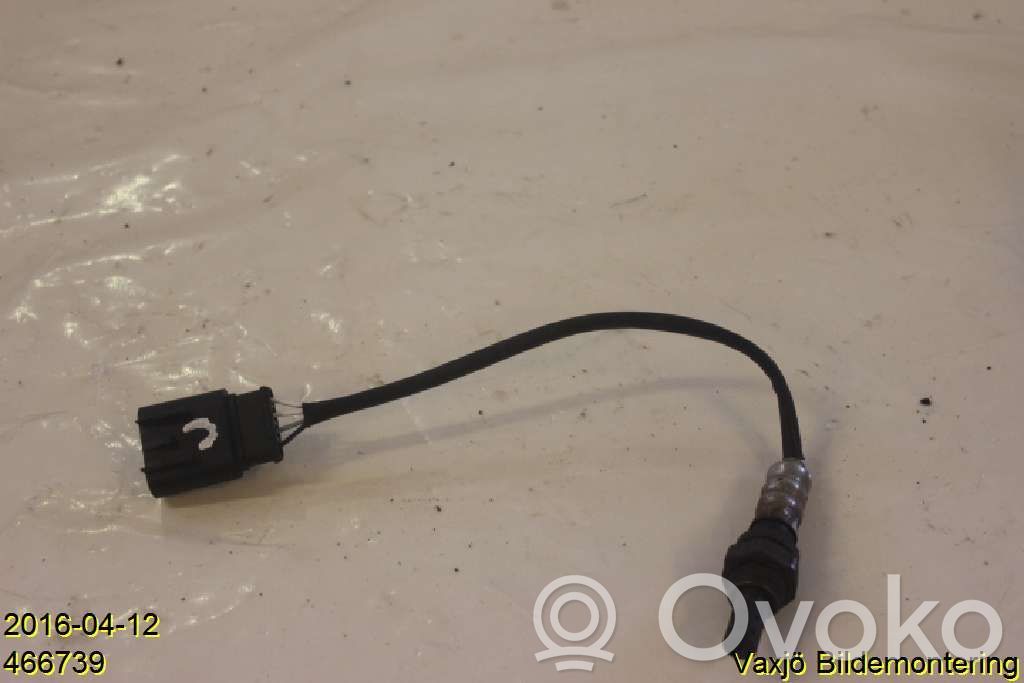 Sonde lambda   1558873,55202416,55202416