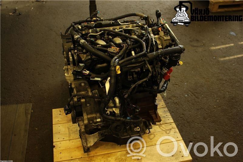 Engine   MN982414