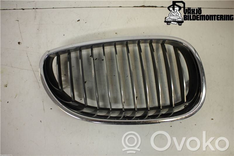 Front bumper lower grill   51137065702