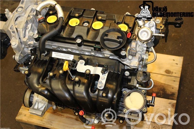 Engine   101024127R