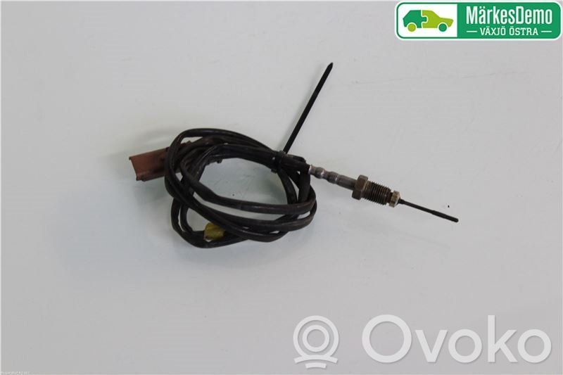 Abgastemperatursensor   9670195680,9670195680,9670195680