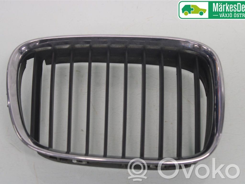 Front bumper lower grill   51138159316