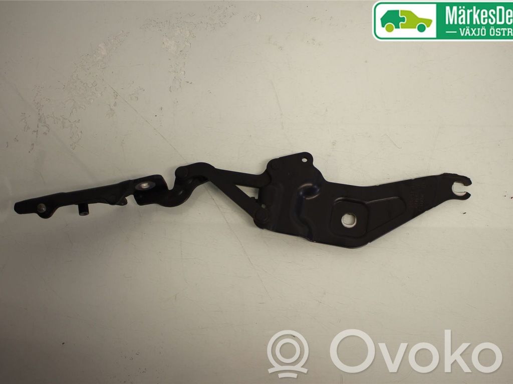 BMW X6 E71 Engine bonnet/hood hinges 