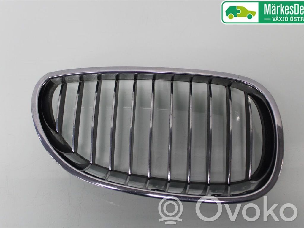 BMW 5 E60 E61 Front bumper lower grill 