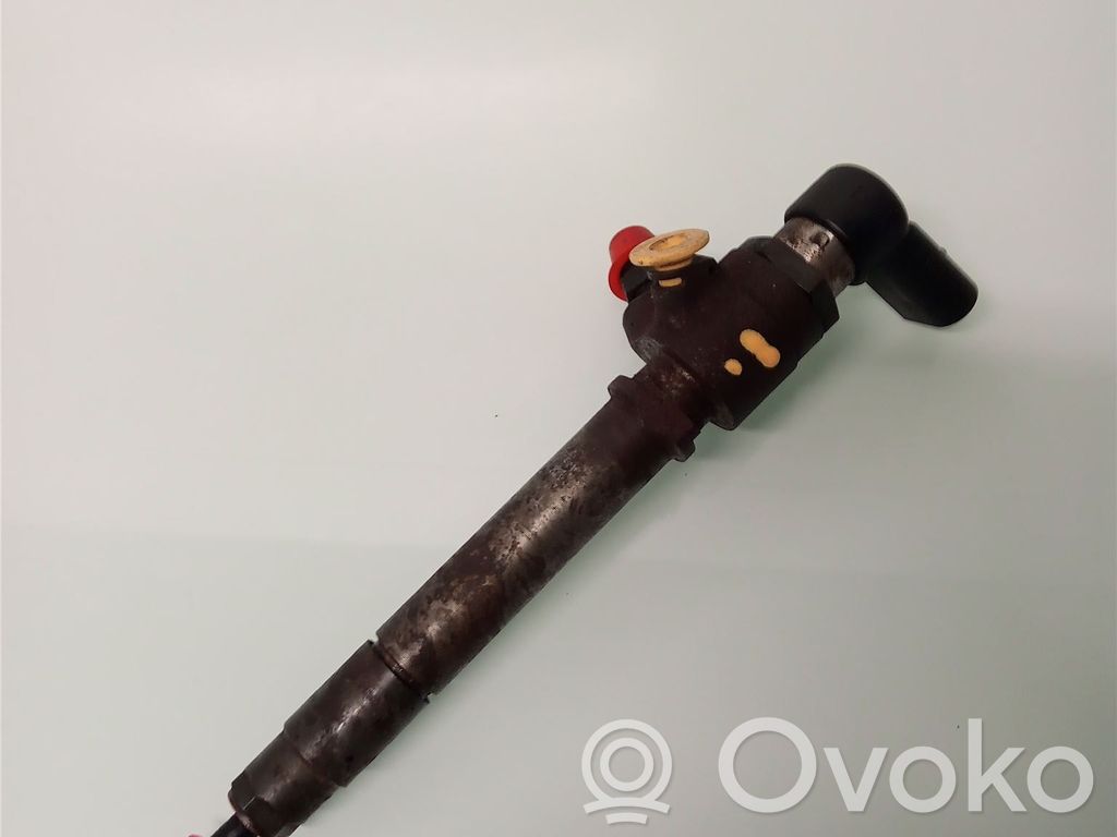 Citroen C6 Inyector de combustible 