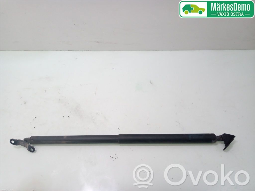 Tailgate strut   2162453