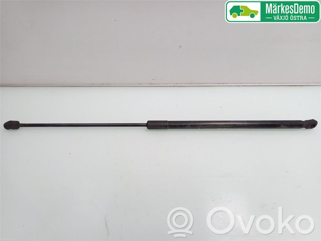 Porsche Cayenne (9PA) Amortizor capotă motor 