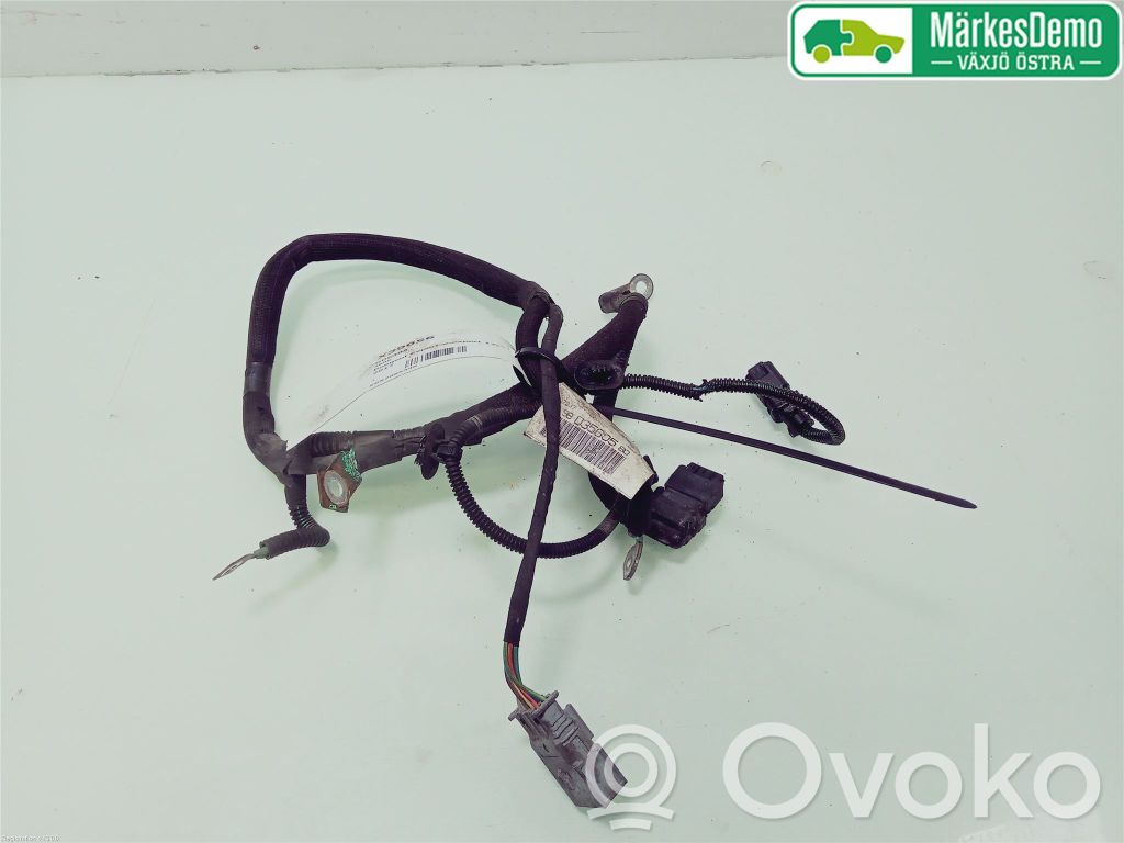 Peugeot Expert Otros cableados 