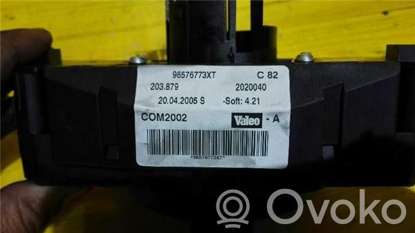 Multifunctional control switch/knob   96576773XT