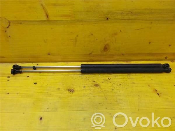 Tailgate/trunk/boot lid buffer