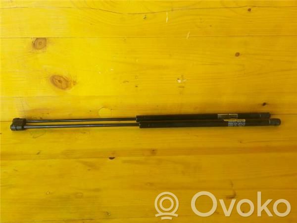 Tailgate/trunk/boot lid buffer   F145CN