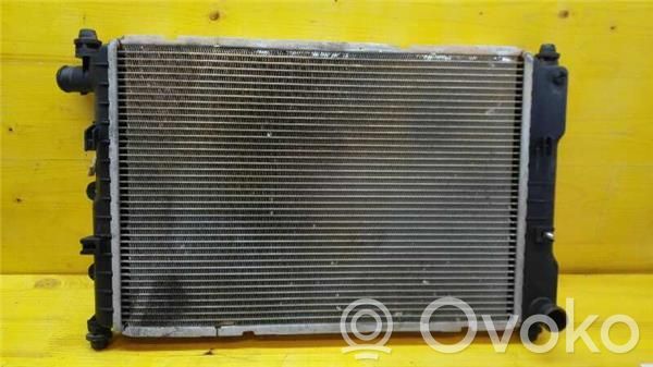 Ford Escort Engine oil radiator 