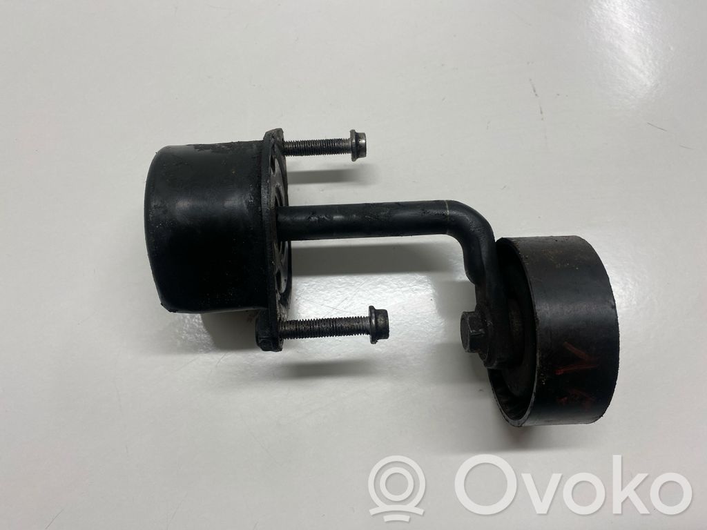BMW X3 E83 Tendicinghia generatore/alternatore 