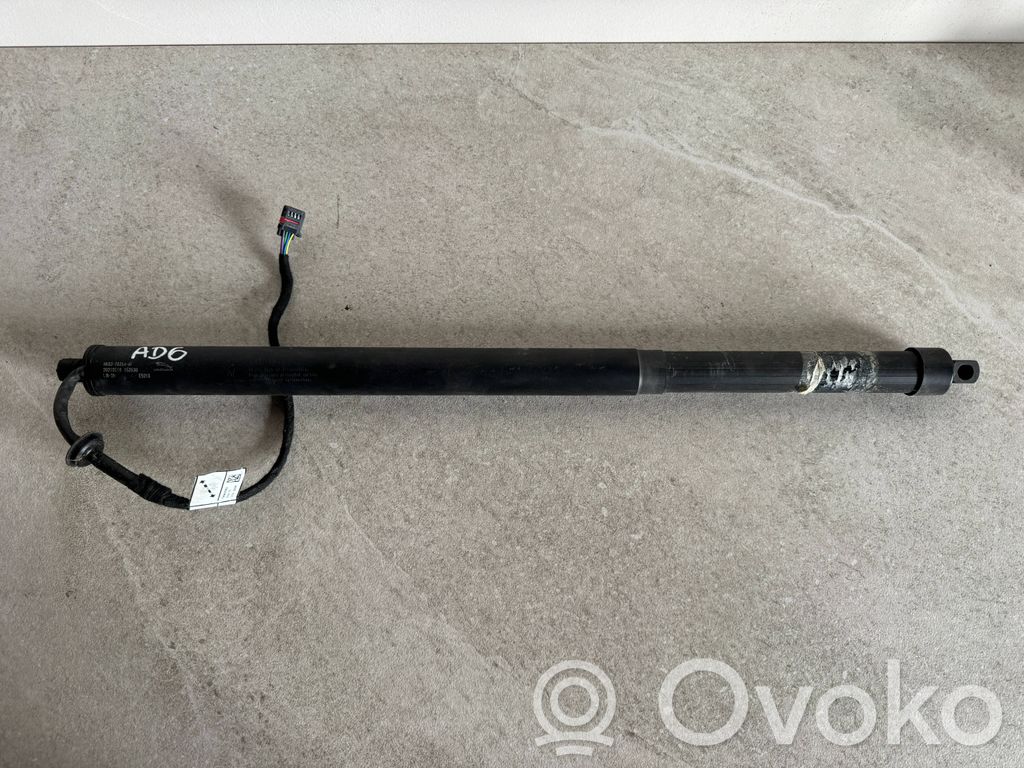 Jaguar F-Pace Tailgate/trunk strut/damper 