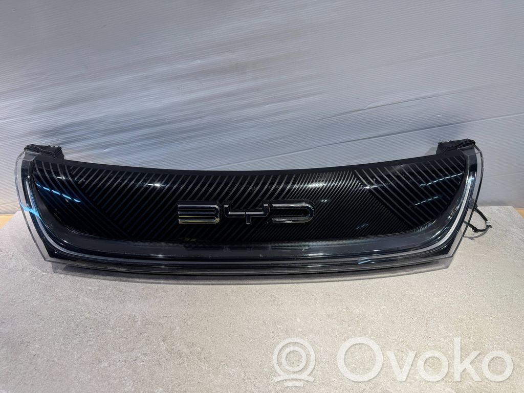 BYD Dolphin Grilă față 