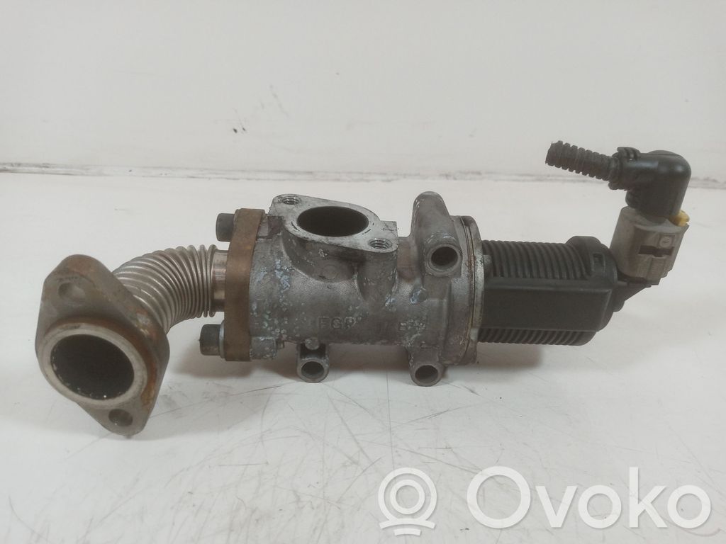 Valvola EGR   50024005