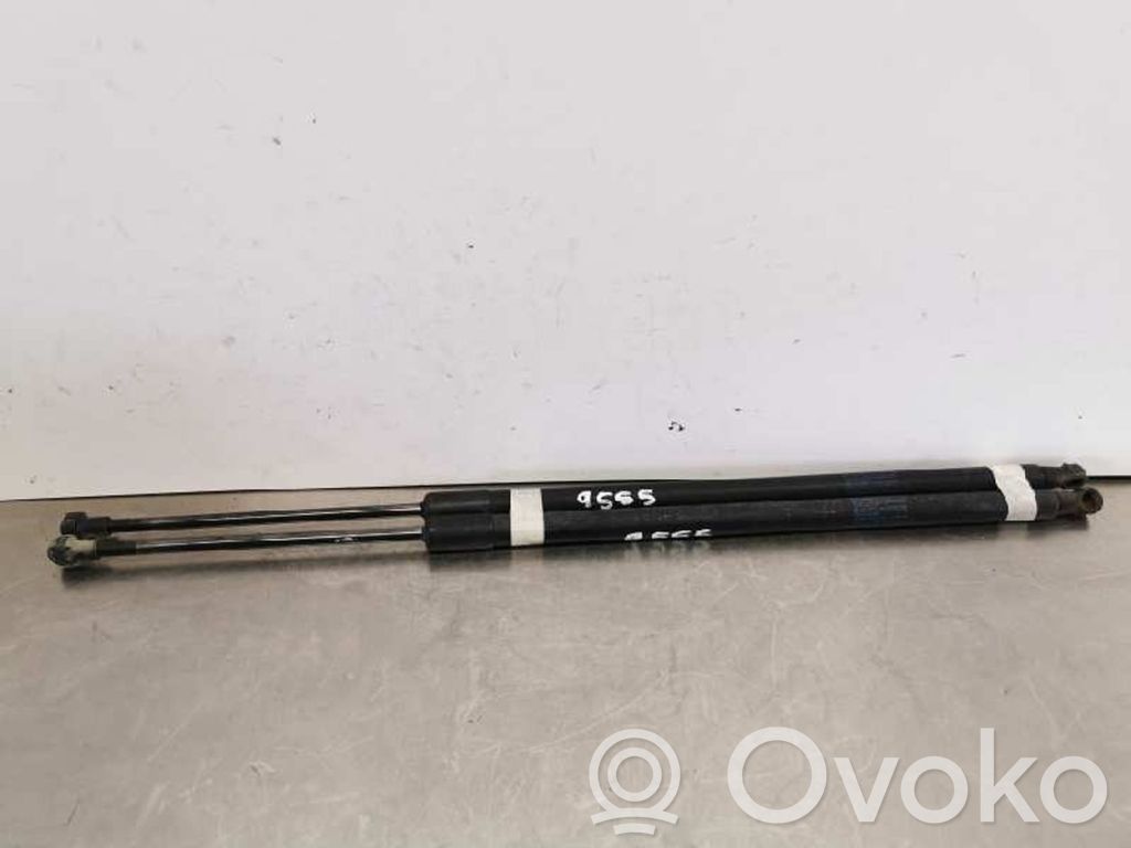 Tailgate/trunk strut/damper
