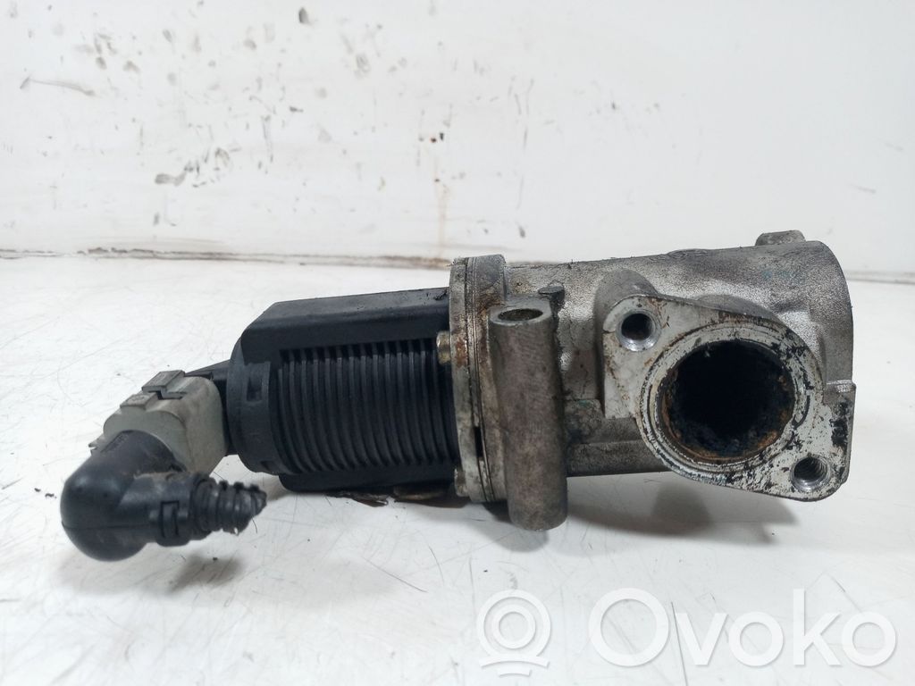 Zawór EGR   50024005