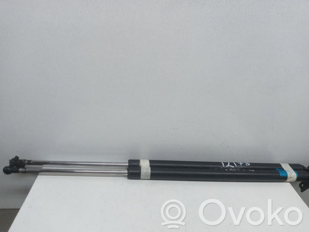 Tailgate/trunk strut/damper