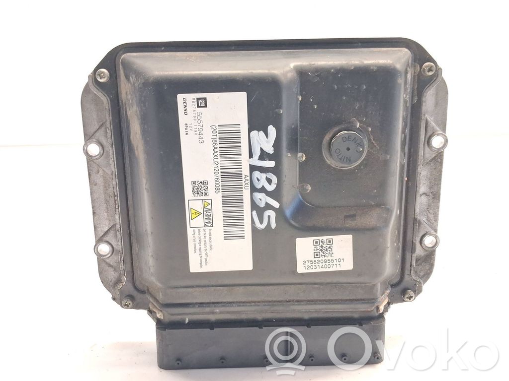 Unidad de control/módulo del motor   55579443,MB2757001190