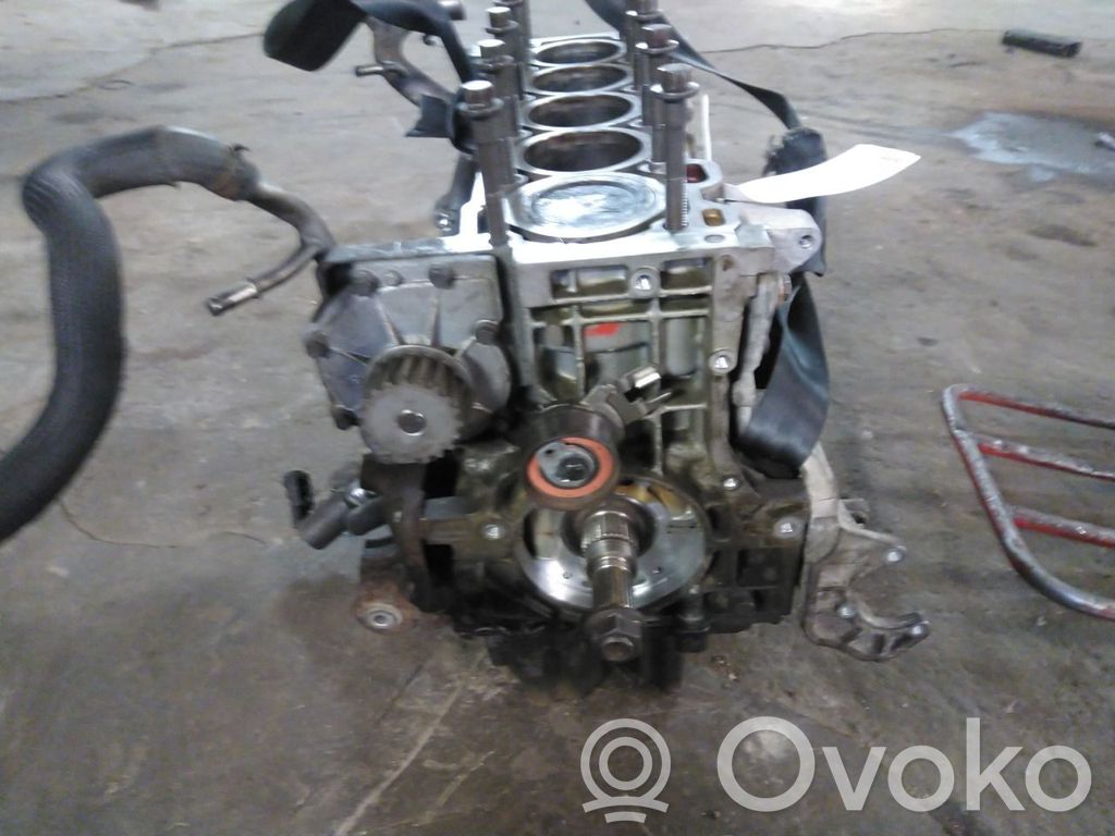 Engine block   1387097